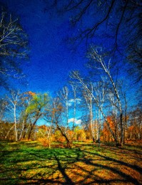 Unter dem blauen Himmel .. / ***