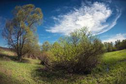  / Nikkof Fisheye 16mm
