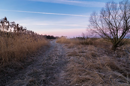 Morning landscape / No comments