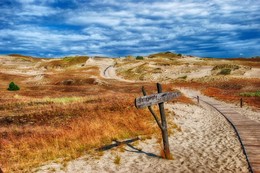 einen langen Weg in den Dünen / ***