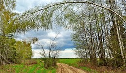 Einfache Landschaft / ***