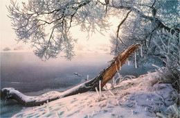 Winter-Etüde / ***
