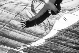 Der Mangel an Freiheit / ***