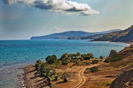 Fox Bay / ***