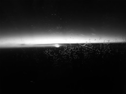 Frühlingserwachen / ***