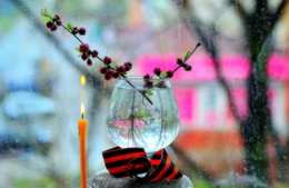 Wir erinnern uns an ... / ***