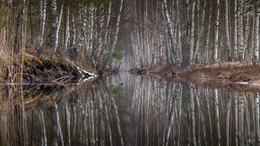 Wasser / ***