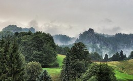 Morgennebel / ***