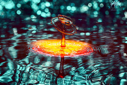  / prophotosite.com