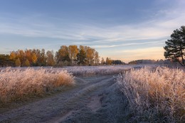 Herbstmorgen. / ***