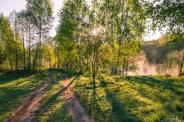 Morgendämmerung / ***