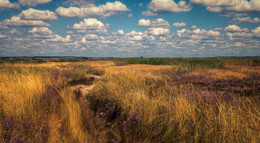Steppe / http://www.youtube.com/watch?v=AgZEsXIUUIQ