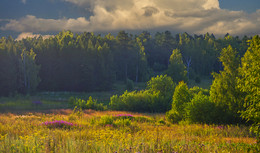 Summer Evening / ***