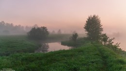 Misty Morgengrauen. / ***