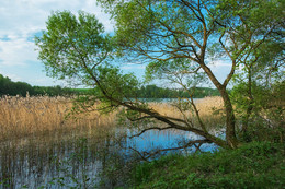 am Ufer / ***