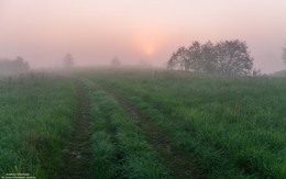 Misty Morgengrauen. / ***