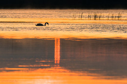 Bei Sonnenaufgang / ***