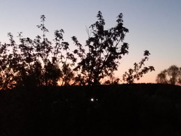 Abend / ***