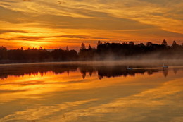 Schwanensee / ...