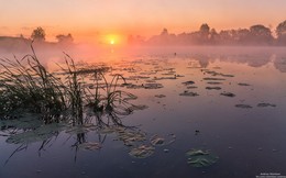 Morgendämmerung / ***
