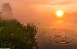 Morgendämmerung / ***