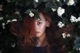  / ***
