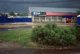 Dornbusch / ***
