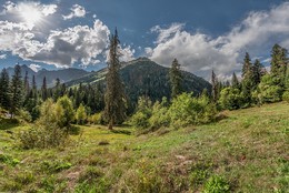 Dombai Glade / ***