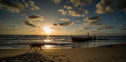 Running to sunset / sea