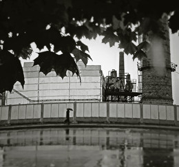 Nach einer regen ... / ***