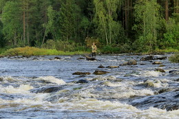 North River schnelle / ***