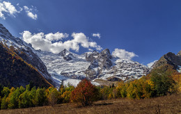 Herbst / ***