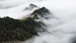 In einem Land der Nebel / ***