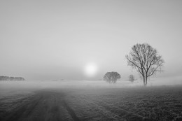 Morgen / ***