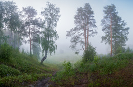 Nebliger Morgen / ***