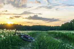 Evening pokatushki / ***