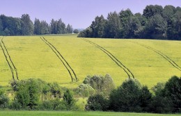 Golf, Russisch Bereich ... / ***