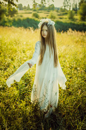 The Swan Princess / ***