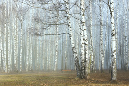 Das Warten / ***
