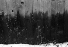  / fomapan 200
