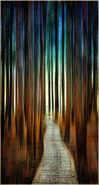 Weg zum Meer / ***