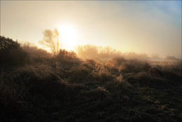 Morgen / ***