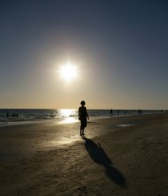 Florida / ***