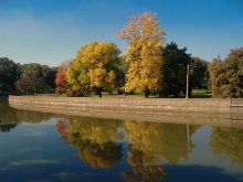 Goldener Herbst / ***