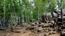 Noon im Wald / ***