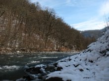 Silver River / ***
