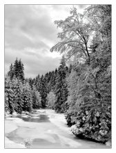 Winter / ***