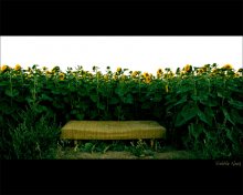 Time to rest / ***