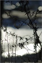 Und es ist leicht ... / ***