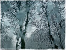 *winter plyam / ***